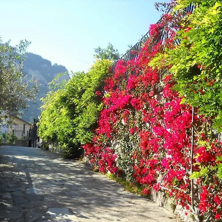 Le Cicale - Lejlighed *