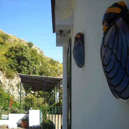 Lejlighed Le Cicale - *